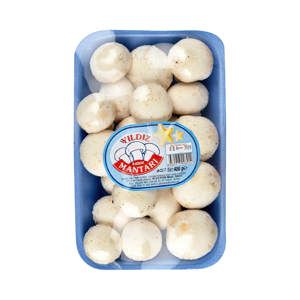 Yıldız Kültür Mantarı (400 g)